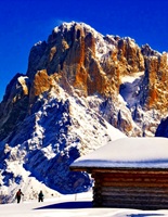 Alpe di Siusi Alto Adige Italy 25